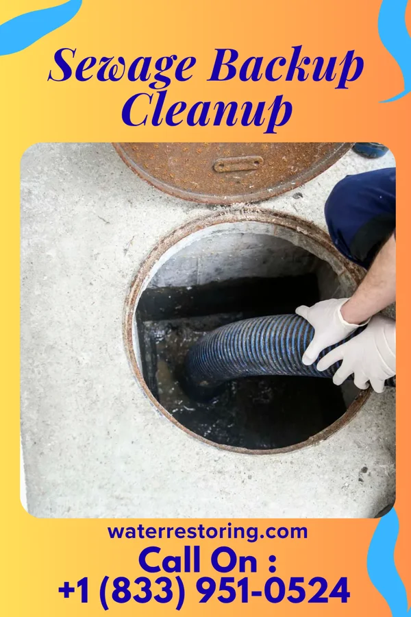 Sewage Backup Cleanup in Coin, IA